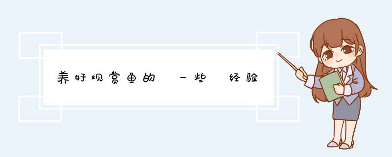 养好观赏鱼的 一些 经验
